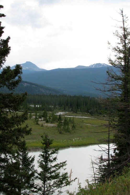 Athabasca River Looking East 2