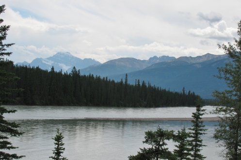 Athabasca River Looking South 2