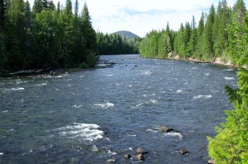 Helmcken River 2