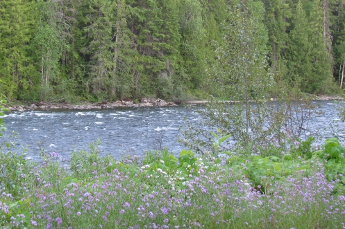 Helmcken River